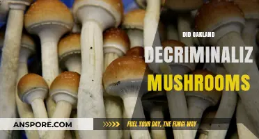 Oakland Votes to Decriminalize Magic Mushrooms