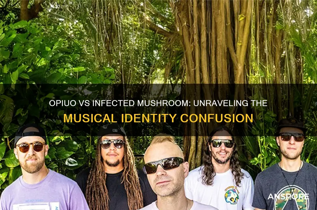 did opiuo used to be infected mushroom