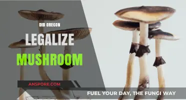 Oregon's Psychedelic Shift: Legalizing Magic Mushrooms Explained