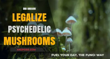 Oregon's Psychedelic Shift: Legalizing Magic Mushrooms for Mental Health