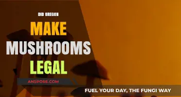 Oregon's Psychedelic Shift: Are Mushrooms Now Legal in the State?