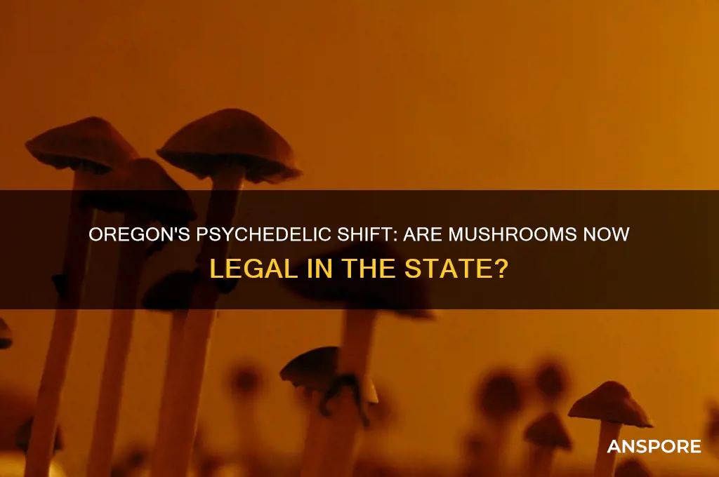did oregon make mushrooms legal