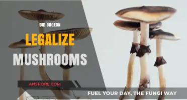 Oregon's Psychedelic Shift: Legalizing Magic Mushrooms Explained