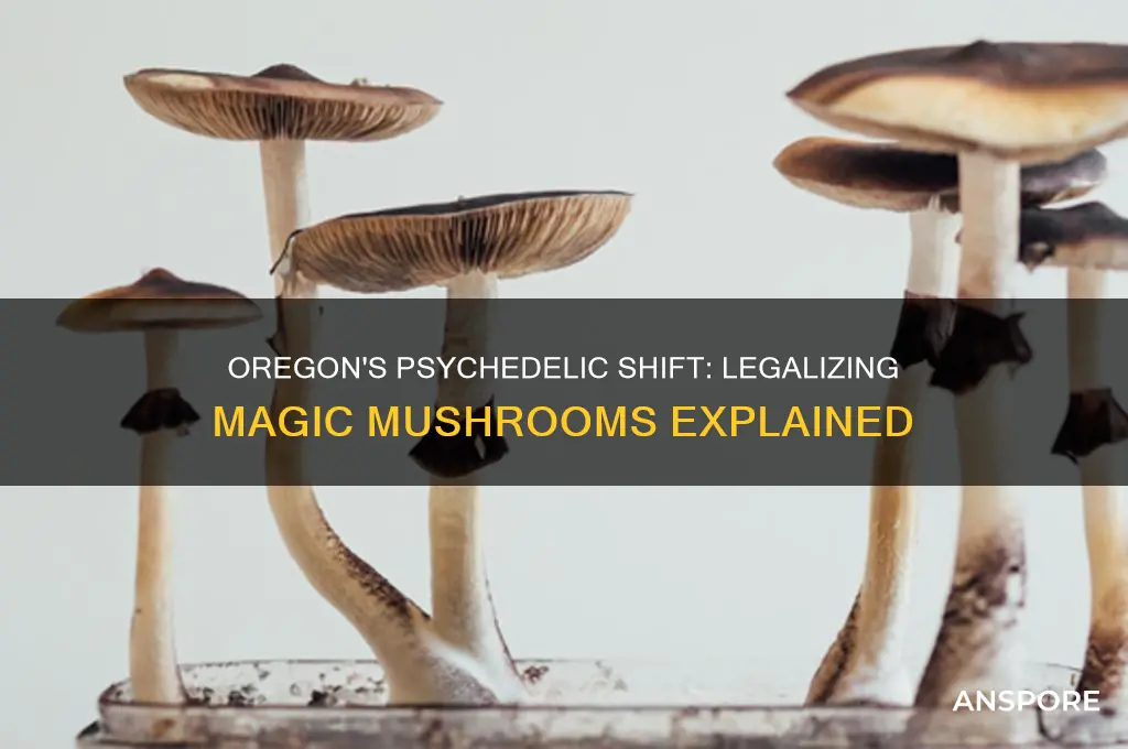 did orgeon legalize mushrooms