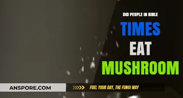 Biblical Diets: Were Mushrooms Consumed in Ancient Bible Times?