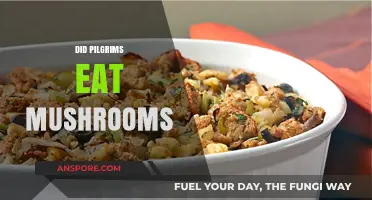 Pilgrims' Feast: Did Mushrooms Grace Their Thanksgiving Table?