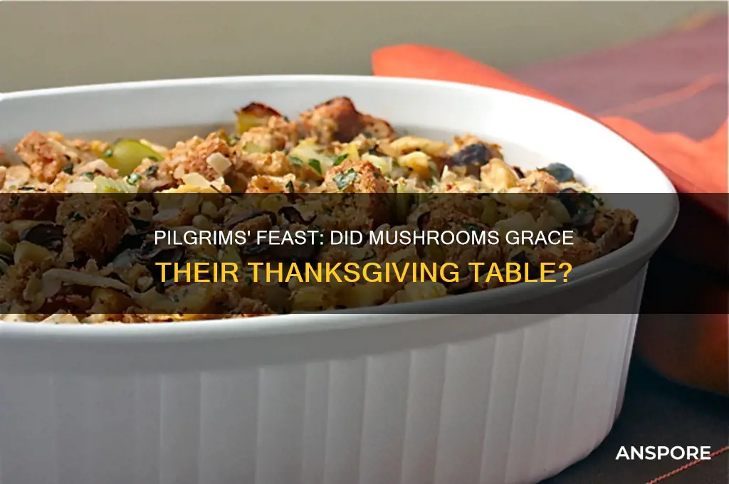 did pilgrims eat mushrooms