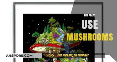 Did Plato's Philosophy Include Psychedelic Mushrooms? Exploring Ancient Secrets