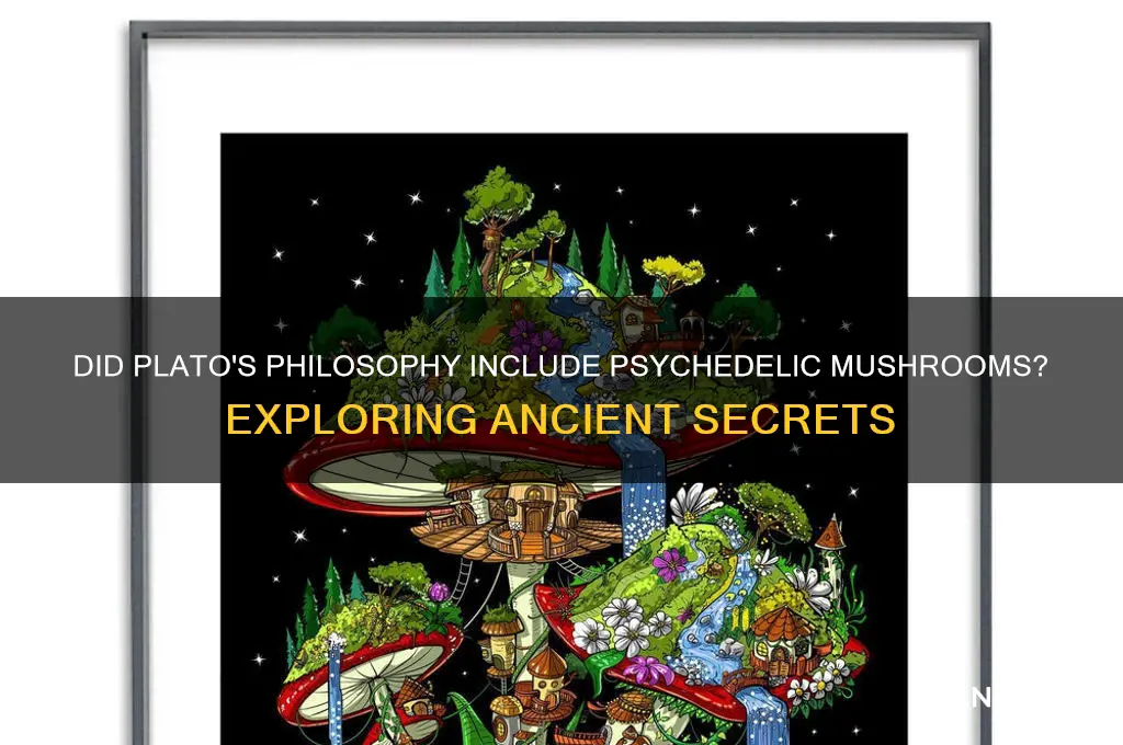 did plato use mushrooms