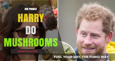 Prince Harry's Mushroom Trip: A Royal Adventure