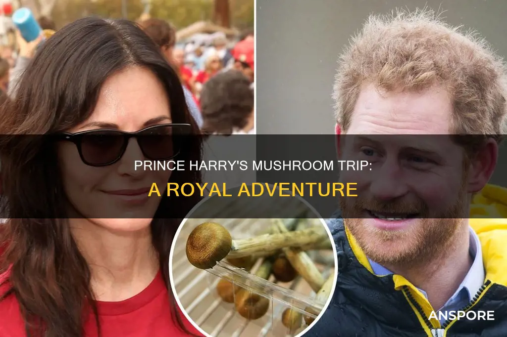 did prince harry do mushrooms