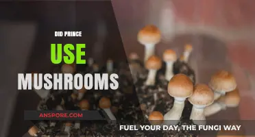Prince and Psilocybin: Unraveling the Mushroom Mystery in His Life