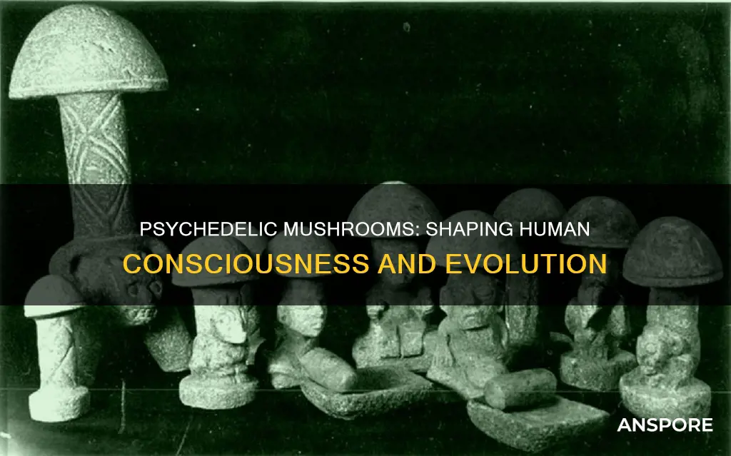 did psychedelic mushrooms human evolution