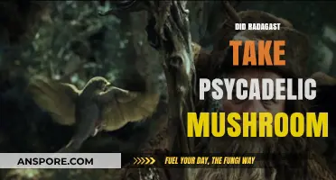 Magic Mushrooms: Radagast's Journey to Middle Earth