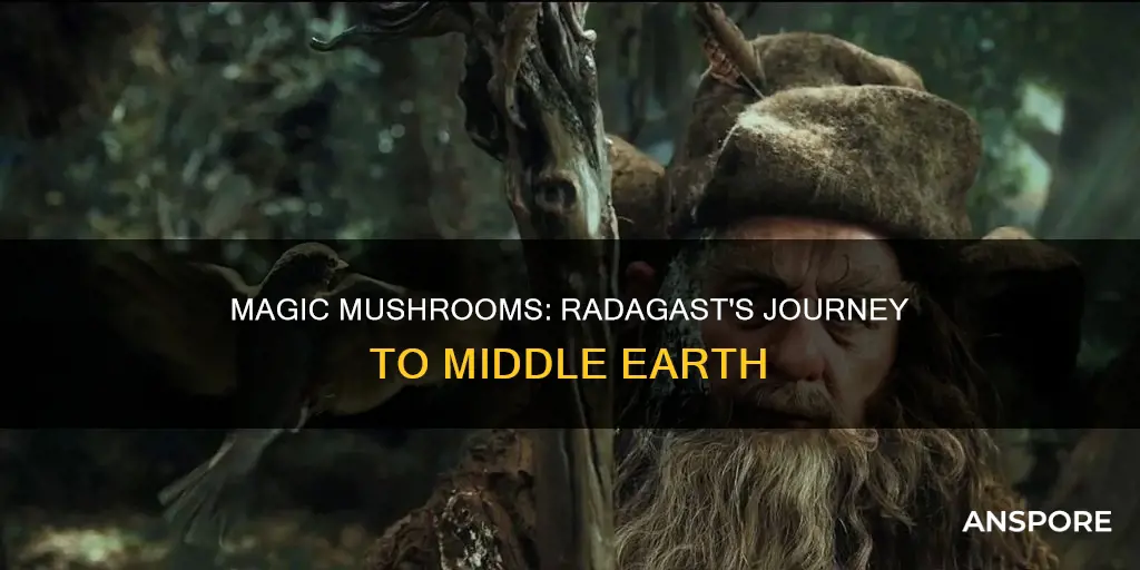 did radagast take psycadelic mushrooms