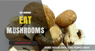 Did Romans Eat Mushrooms? Exploring Ancient Roman Culinary Practices