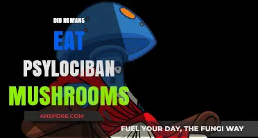 Did Ancient Romans Consume Psilocybin Mushrooms? Unveiling Historical Secrets