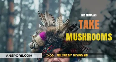 Shamans and Mushrooms: A Historical Relationship