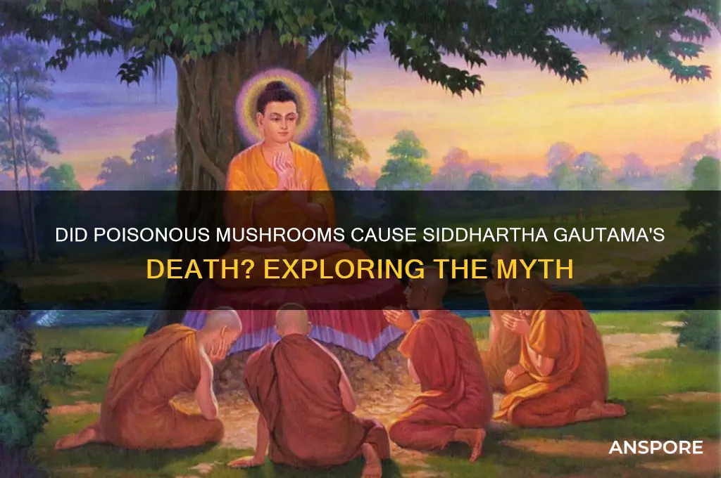 did siddhartha guatama die of poison mushrooms