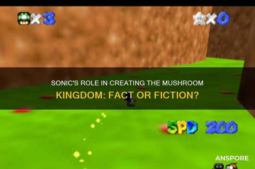 did sonic make the mushroom kingdom