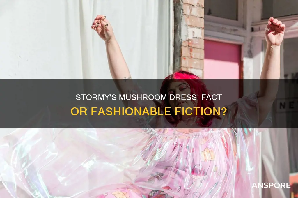 did stormy wear a mushroom dress