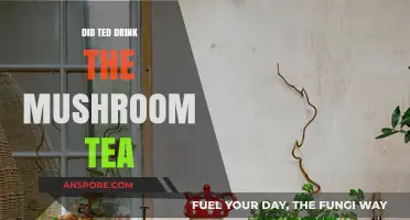 Did Ted Drink the Mushroom Tea? Unraveling the Mystery