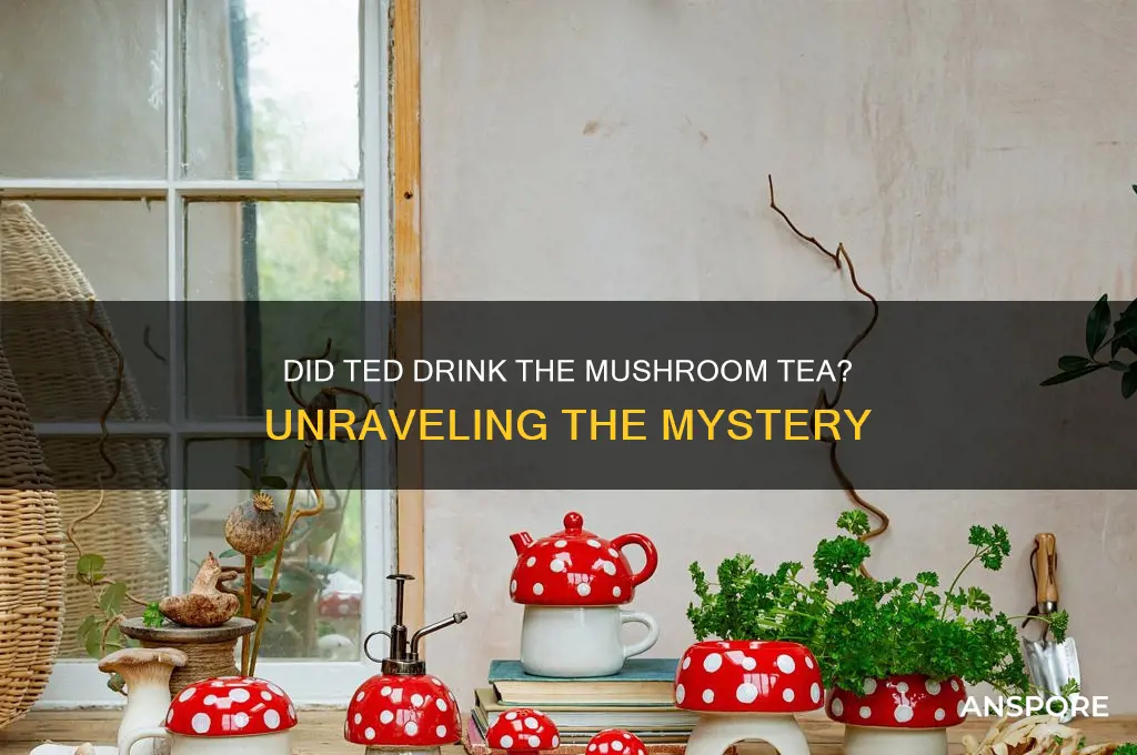 did ted drink the mushroom tea