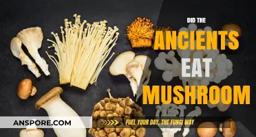 Ancient Mushroom Consumption: Unveiling Prehistoric Culinary and Ritual Practices