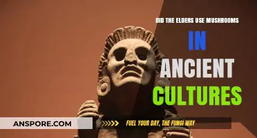 Ancient Mushroom Rituals: Unveiling Elders' Sacred Psychedelic Practices