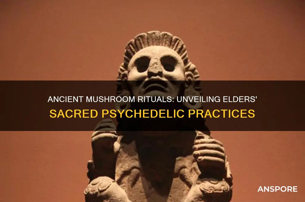 did the elders use mushrooms in ancient cultures