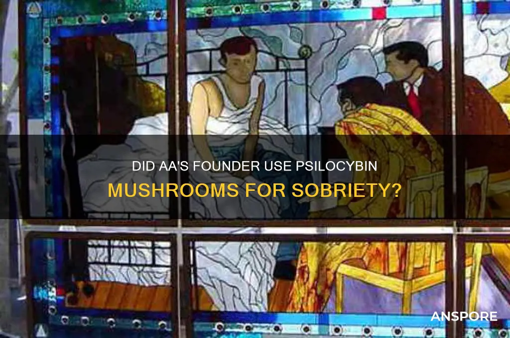 did the founder of aa use mushrooms