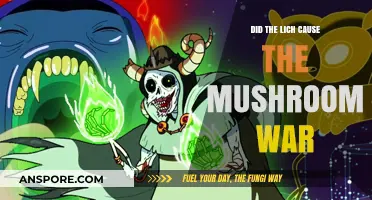Did the Lich Spark the Mushroom War in Ooo?