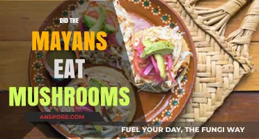 Exploring Mayan Cuisine: Did Mushrooms Play a Role in Their Diet?