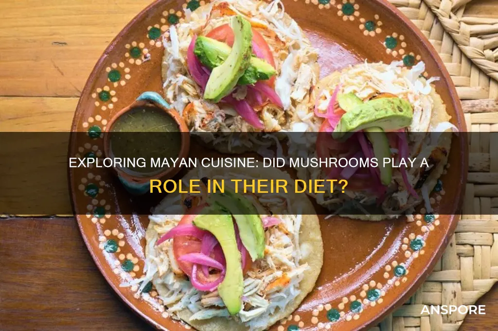 did the mayans eat mushrooms