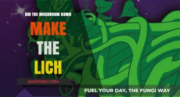 Mushroom Bomb's Role in Creating the Lich: Unraveling the Myth