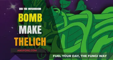 Mushroom Bomb's Role in Creating the Lich: Myth or Reality?