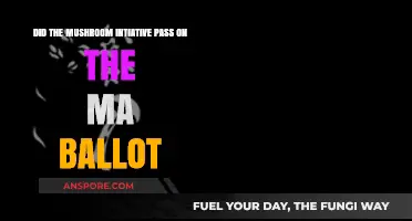 Did Massachusetts Voters Approve the Mushroom Initiative on the Ballot?