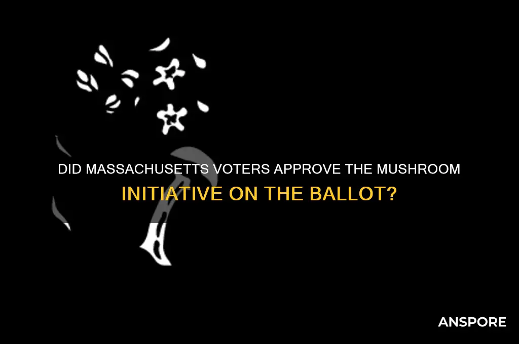 did the mushroom intiative pass on the ma ballot