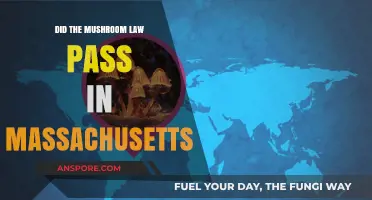 Massachusetts Mushroom Law: Did the Legalization Bill Pass in 2023?