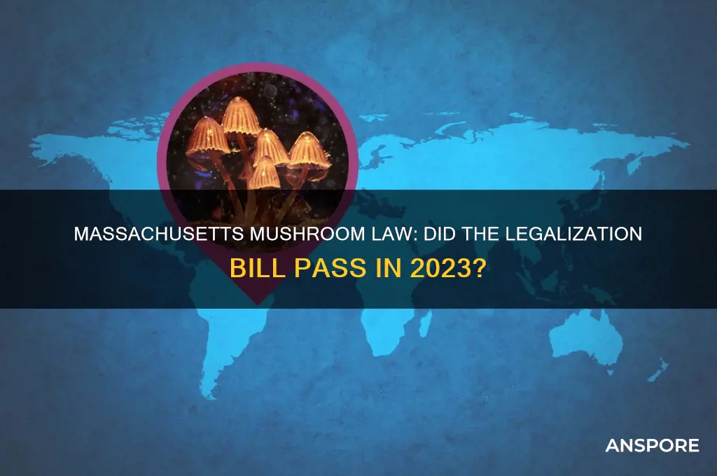 did the mushroom law pass in massachusetts