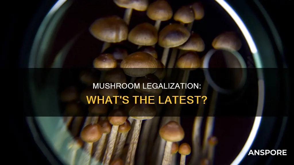 did the mushroom law pass