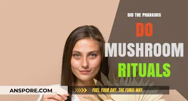 Pharaohs and Fungi: Unveiling Ancient Egyptian Mushroom Rituals