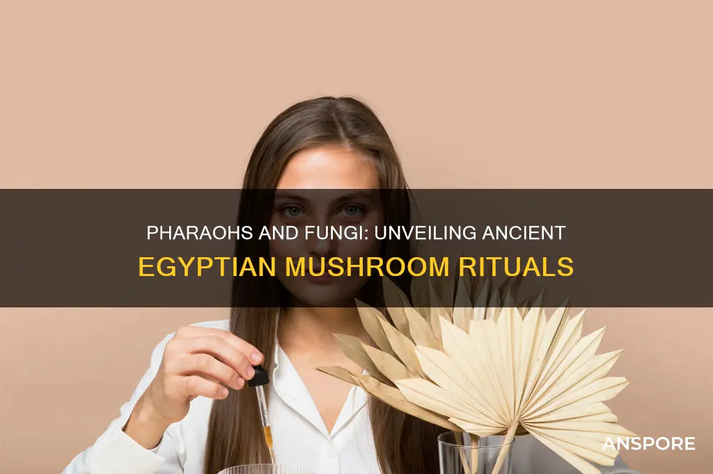 did the pharaohs do mushroom rituals