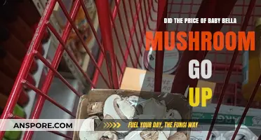 Baby Bella Mushroom Price Hike: What's Driving the Cost Increase?