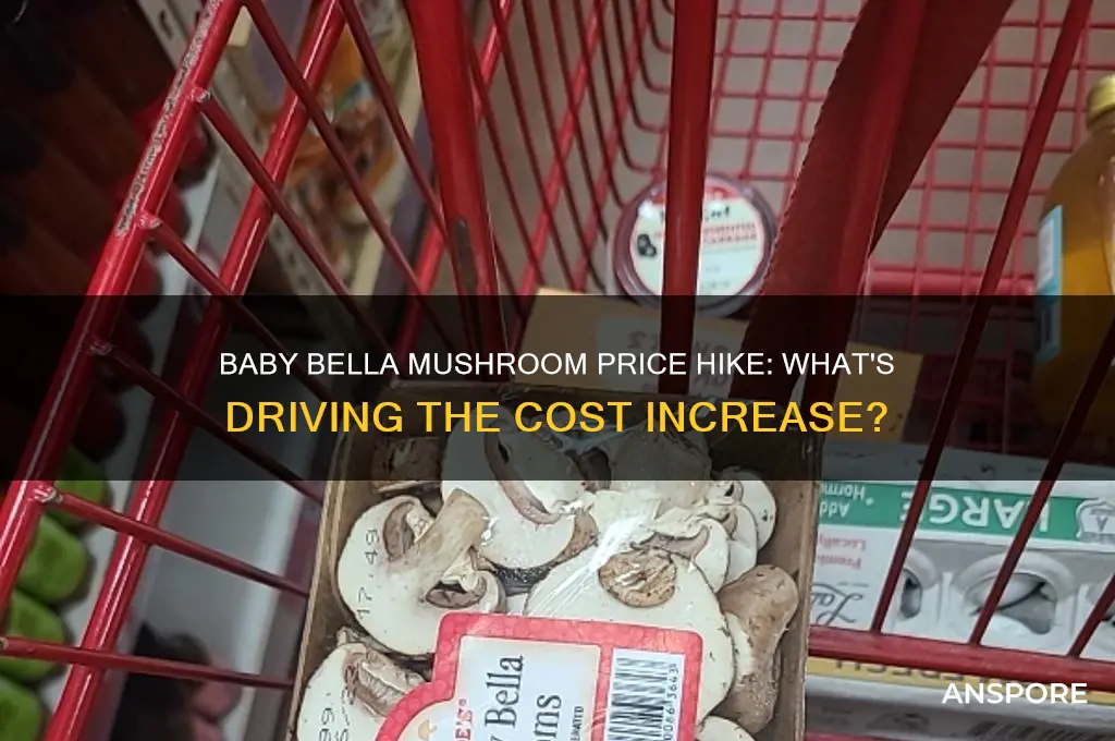 did the price of baby bella mushrooms go up