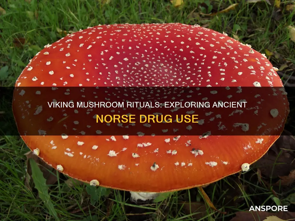 did the vikings do mushrooms