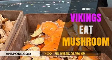 Viking Diets: Did Mushrooms Feature in Their Ancient Cuisine?