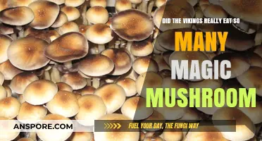 Viking Psychedelic Secrets: Unveiling Magic Mushroom Myths and Realities