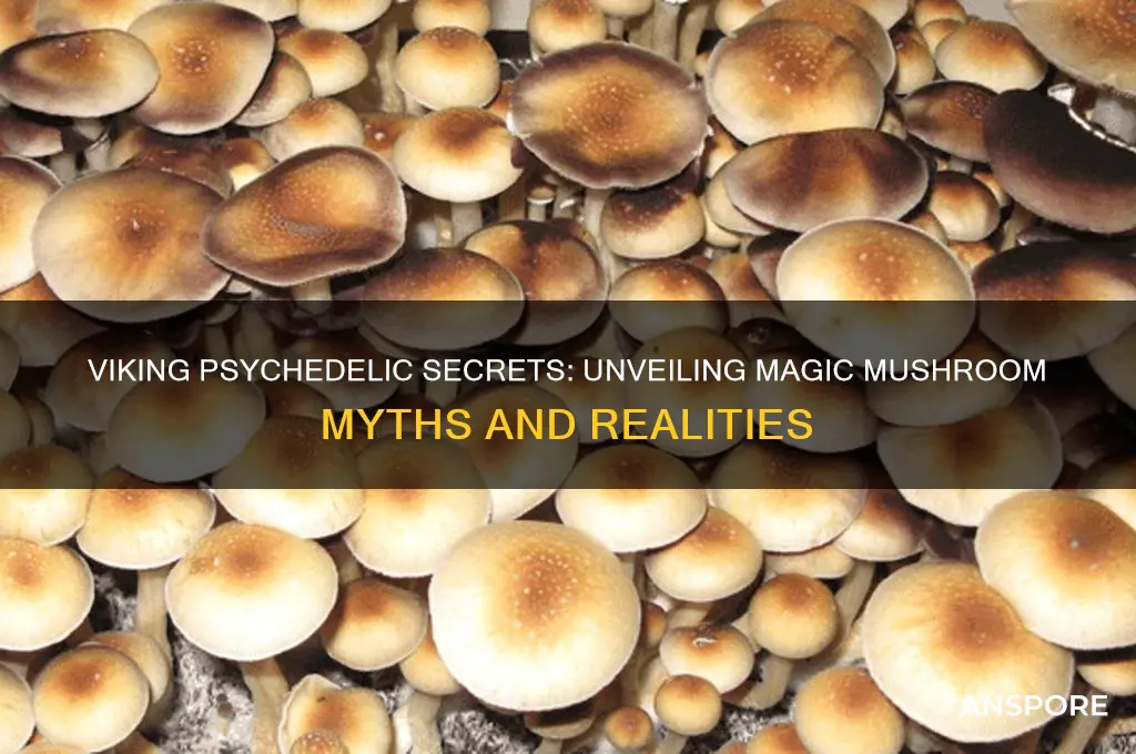 did the vikings really eat so many magic mushrooms