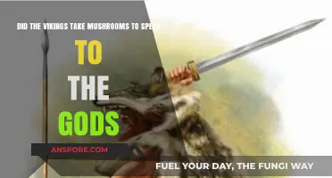 Viking Berserkers: Mushroom Use for Divine Communication Explored